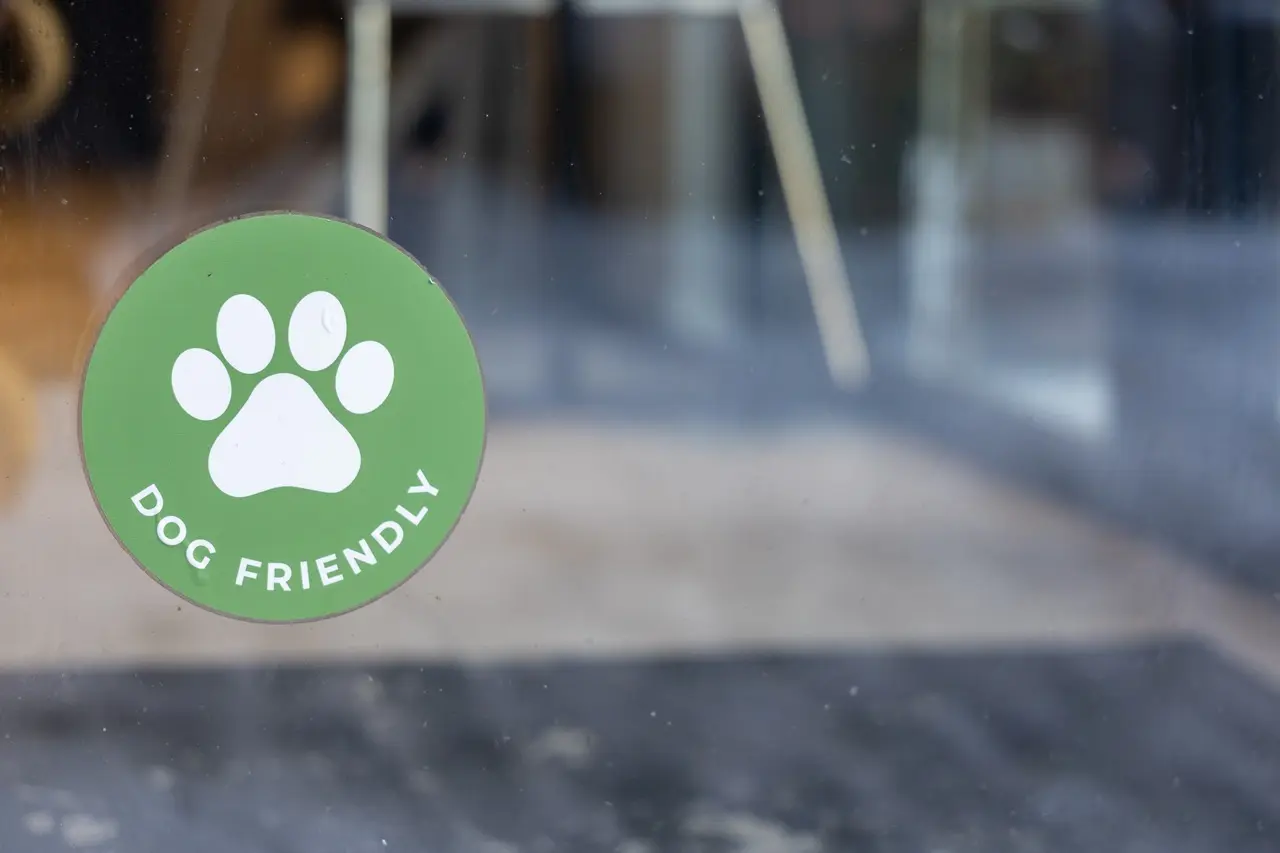 Naklejki w branży zoologicznej – oznaczanie, promocja, personalizacja