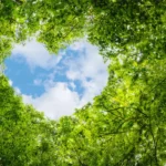 AdobeStock_207995811